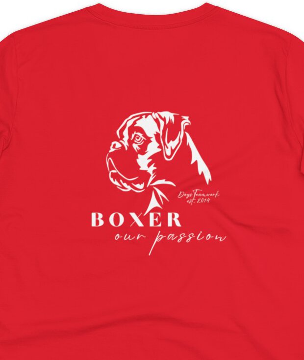 Boxer