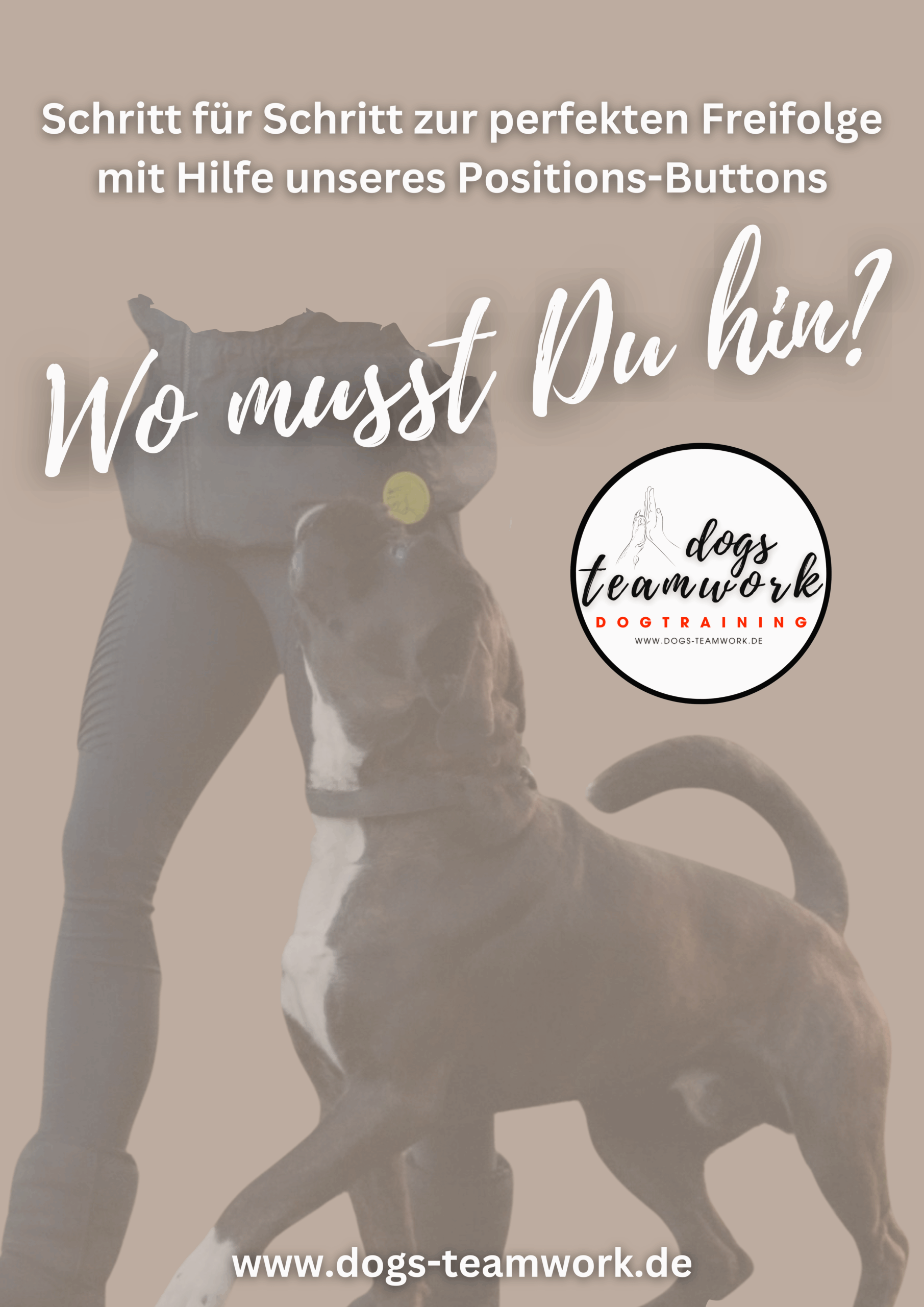 E-Book: Wo musst Du hin?